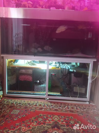 Аквариум