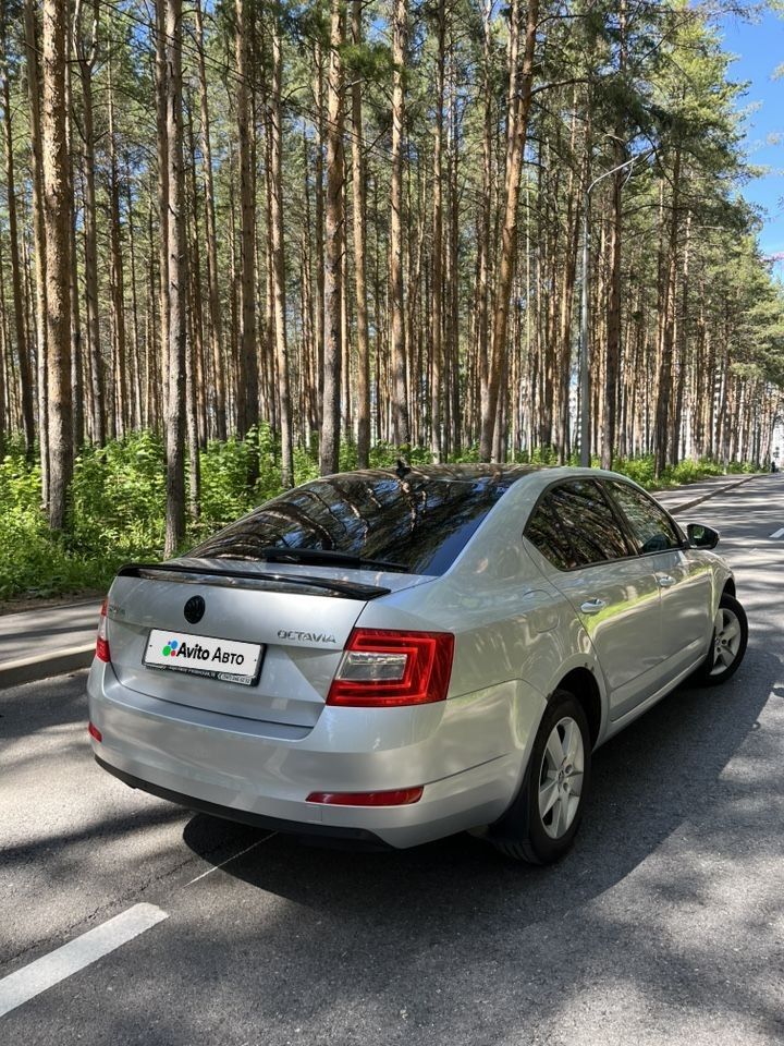 Skoda Octavia: фото владельца