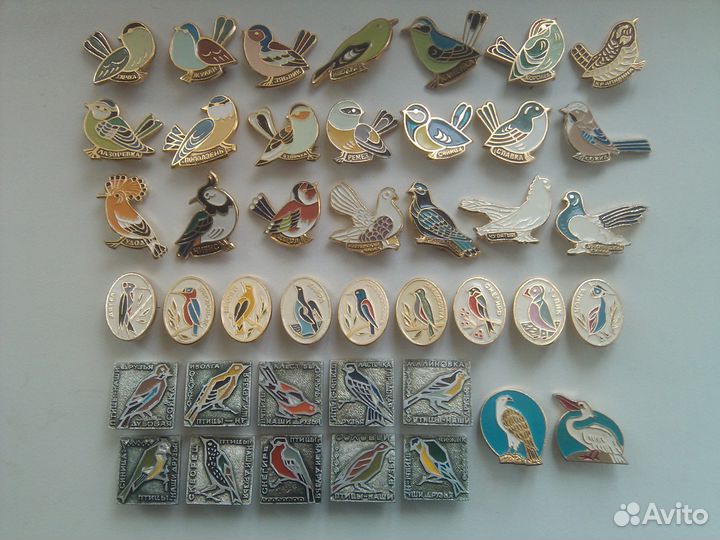 Зоопарк, животные, птицы, собаки и другое