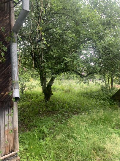 Дача 49 м² на участке 6 сот.