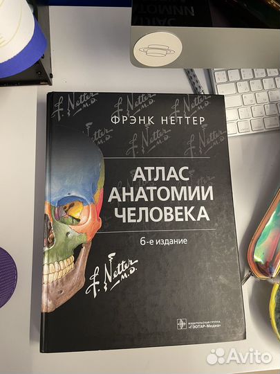 Атлас Неттера плечо