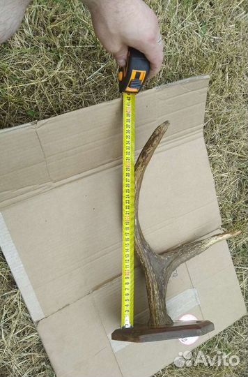 Рога Лося Оленя Вешалка