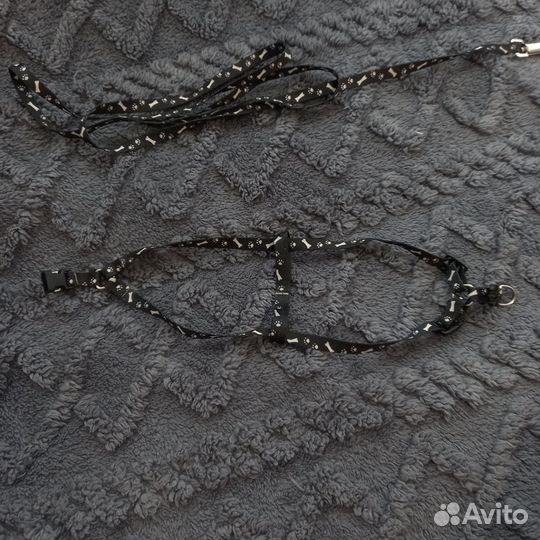 Шлейка и поводок для маленькой собаки