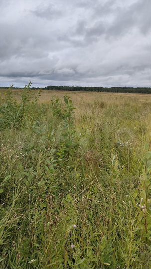 Участок 6,09 га (СНТ, ДНП)