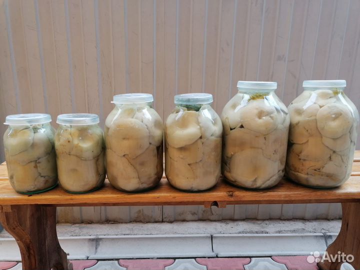 Грибы соленые:грузди,белые грибы боровики,рыжики