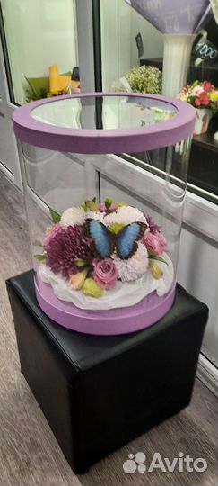 Живые бабочки с цветами или фермы бабочек