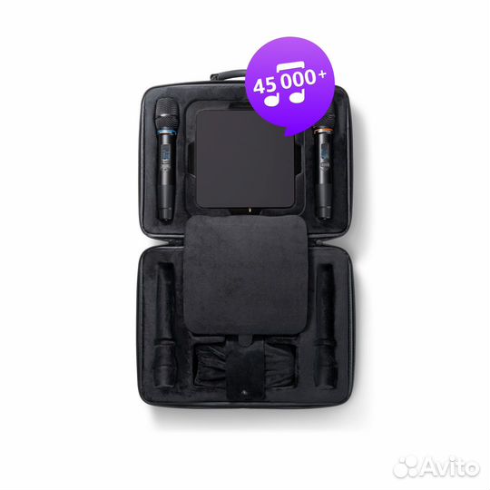 Караоке EvoBox Plus с микрофонами и EvoCase(Новая)