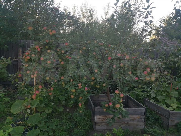 Дом 242 м² на участке 15 сот.