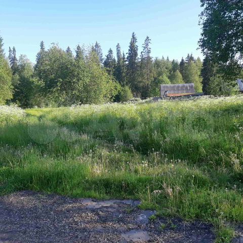 Участок 10 сот. (ИЖС)