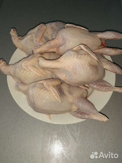 Мясо перепелов