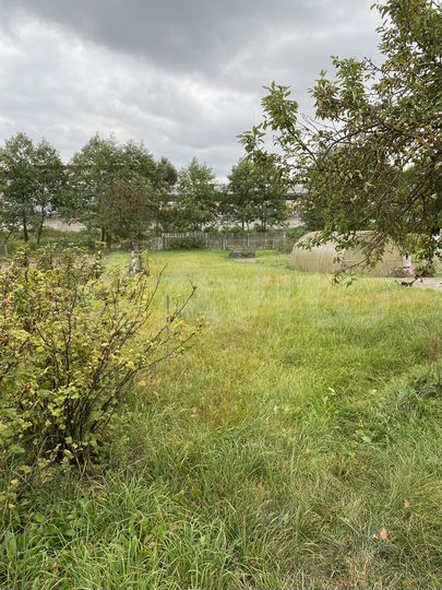 Дом 48,8 м² на участке 7 сот.