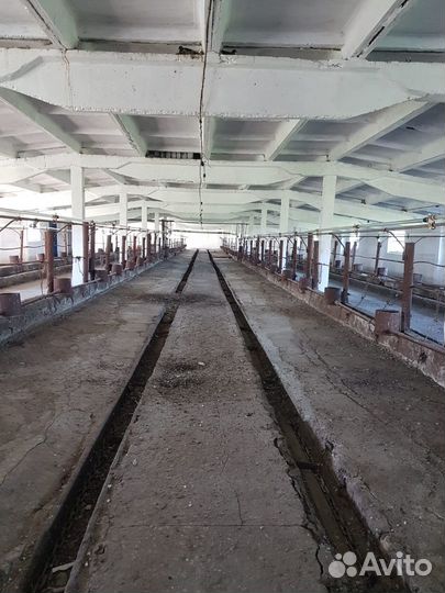 Ферма животноводческая