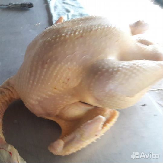 Мясо индюка