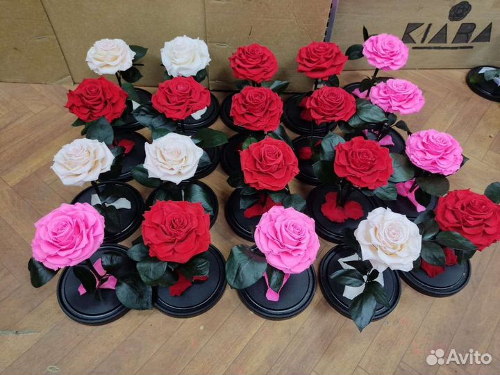 Роза в колбе