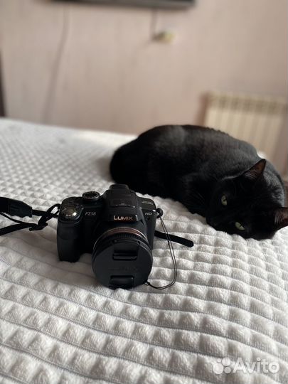 Зеркальный фотоаппарат panasonic lumix fz38
