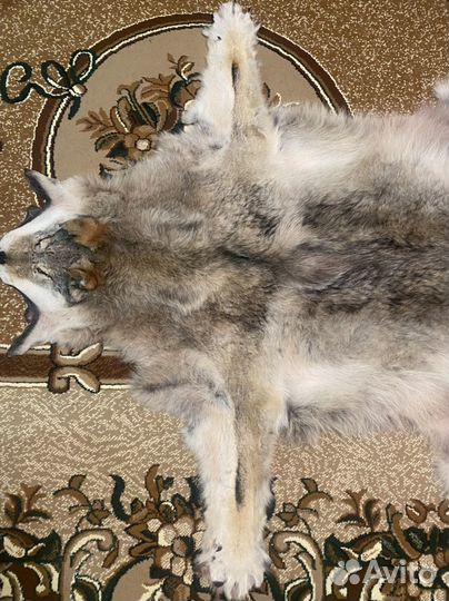 Ковер из шкуры волка