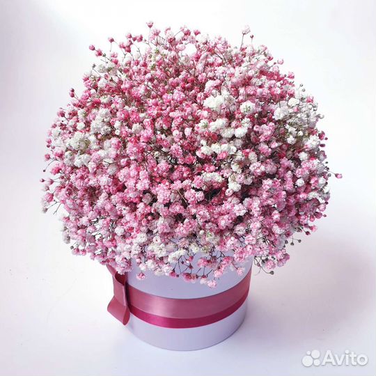 Гипсофила Букеты Доставка