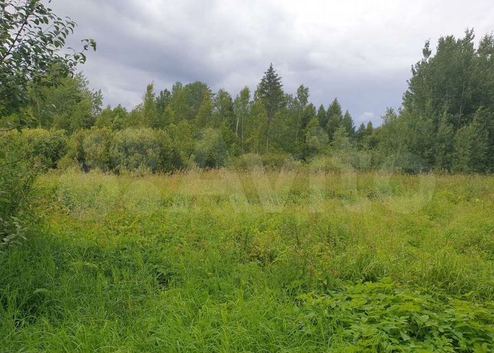 Дом 52,6 м² на участке 30 сот.