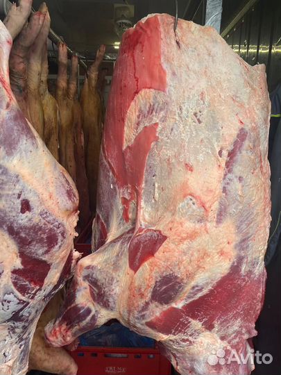 Говядина с доставкой