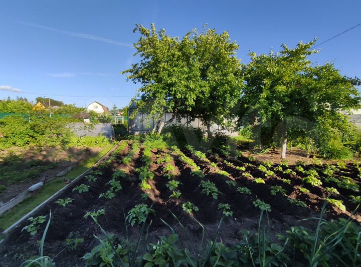 Участок 3,5 сот. (СНТ, ДНП)