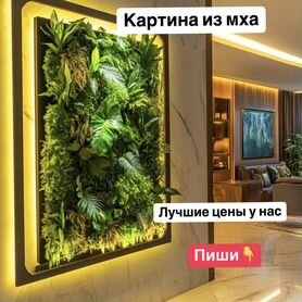 Картины из мха / Фитодизайн