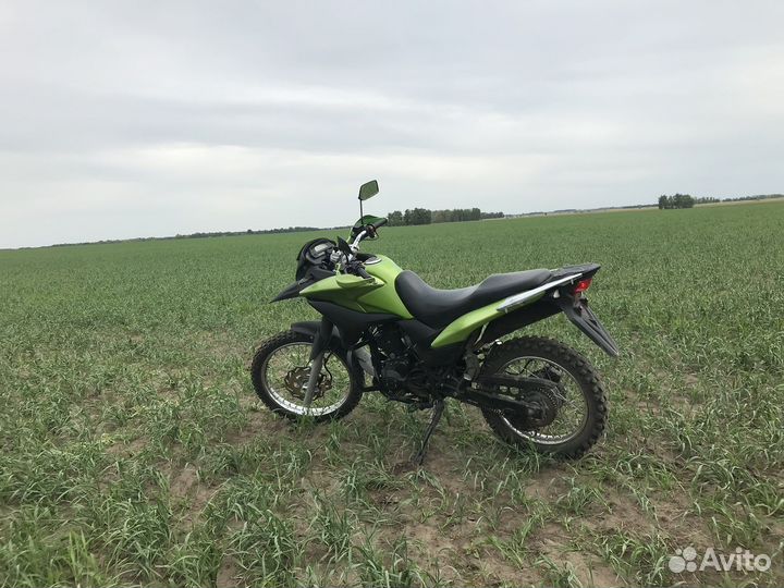 Racer Ranger 200