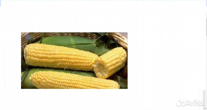 Кукуруза / Горох - семена