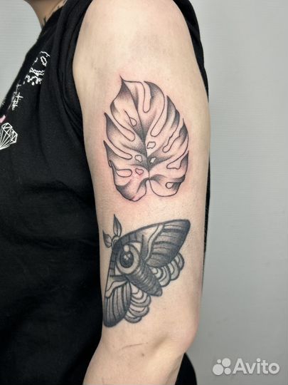 Начинающий Тату мастер