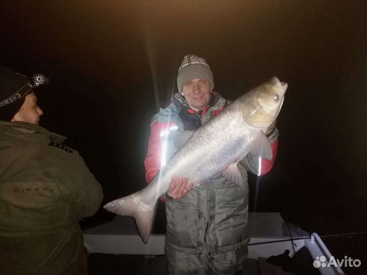 Рыбалка с гидом,семейный отдых