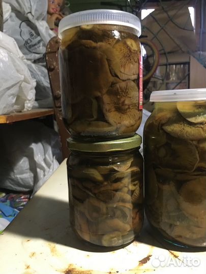 Рыжики Соленые