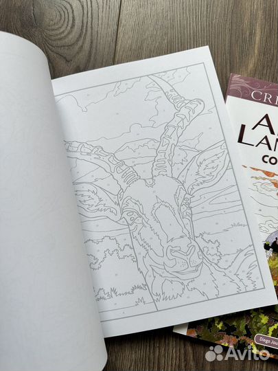 Раскраски по номерам creative haven