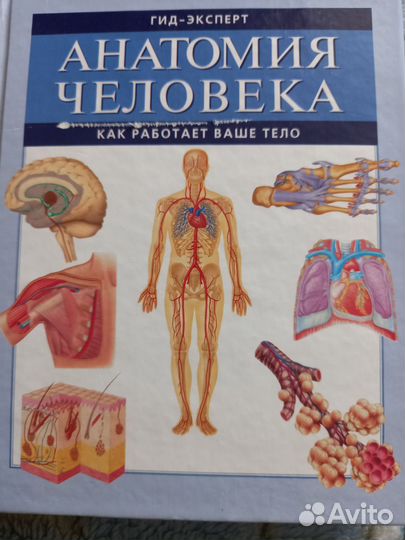 Учебная литература