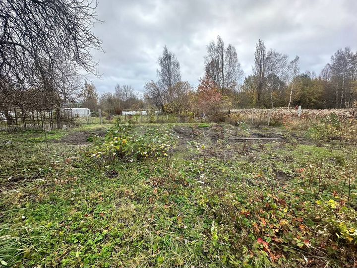 Участок 10,7 сот. (СНТ, ДНП)