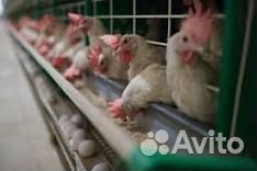 Упаковка полуфабрикатов