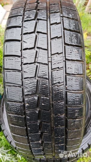 Dunlop Winter Maxx WM01 205/55 R16