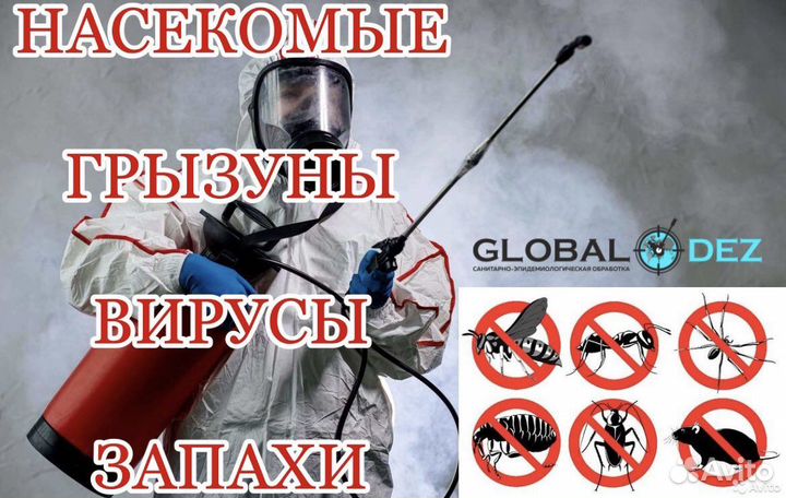 Дератизация дезинфекция дезинсекция