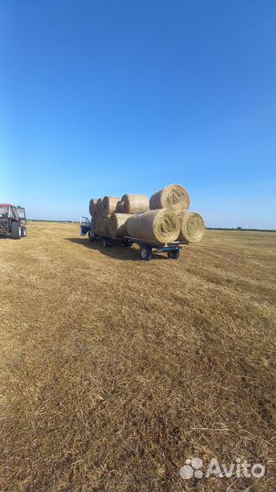 Продам сено