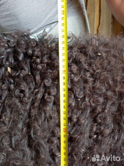 Овцы бараны ягнята