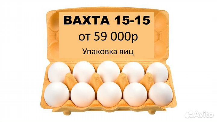 Москва Вахта Упаковщик / ца яиц на Птицефабрике