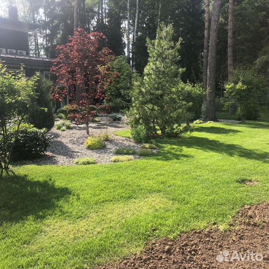 Сад благоустройство