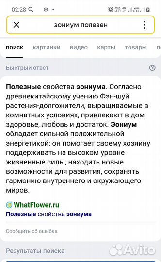 Эониумы