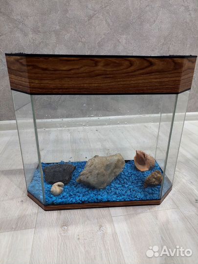 Красноухая черепаха с аквариумом