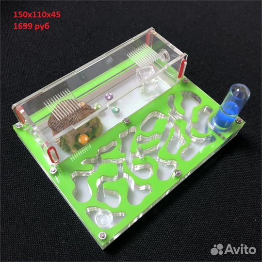 Муравьиная ферма формикарий