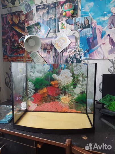 Аквариум