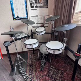 Барабаны Roland TD-20