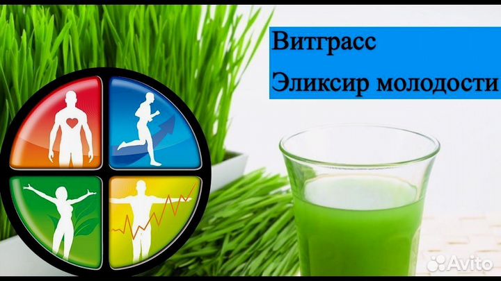 Витграсс. Сок из ростков пшеницы