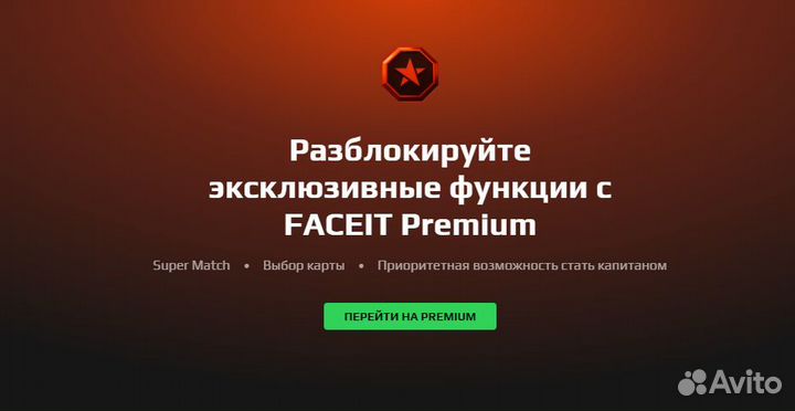 Подписка Faceit 12 месяцев