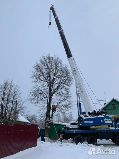 Спил аварийных деревьев
