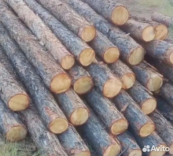 Столбы из лиственици