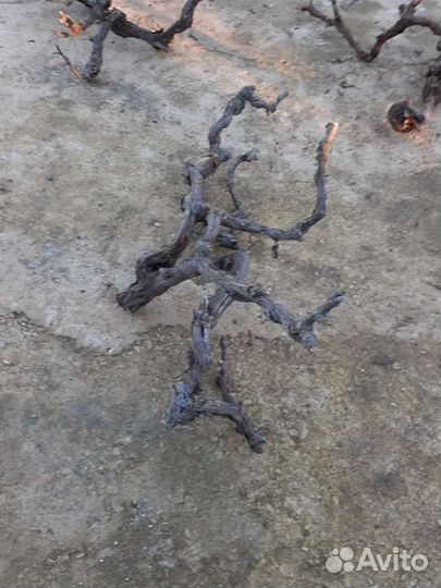 Коряги для аквариумов,террариумов